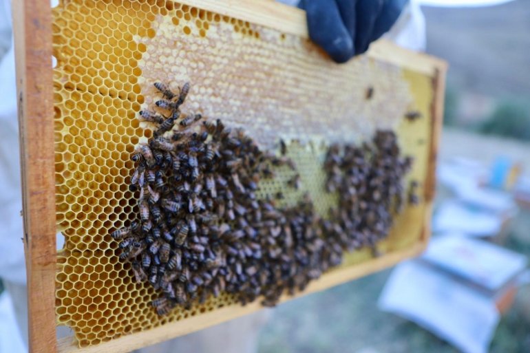 Arıcılığa hobi olarak başlayan emekli polis memuru ve abisi 7 ton bal üretti3
