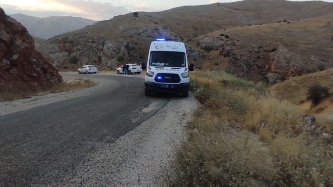 Elazığ'da freni boşalan otomobilden atlayan kadın yaralandı