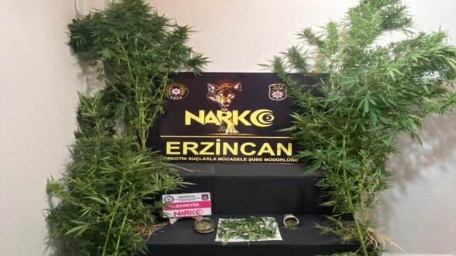 Erzincan'da uyuşturucu operasyonunda 1 kişi tutuklandı