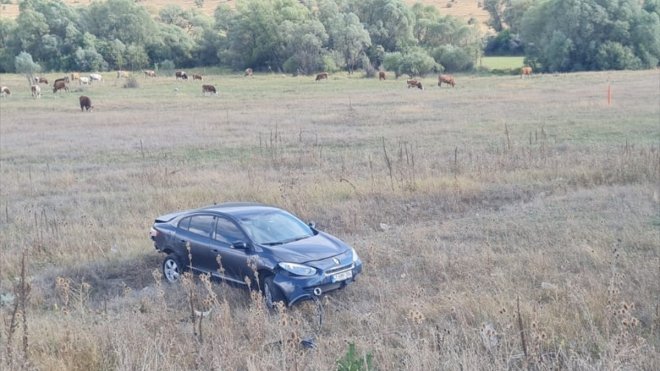 Erzincan'da iki otomobilin çarpışması sonucu 6 kişi yaralandı