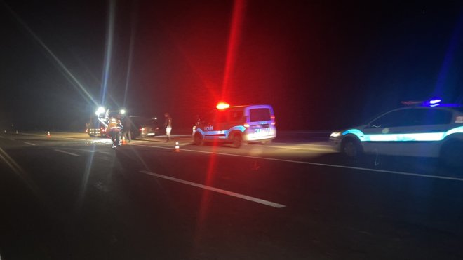 Kars'ta otomobilin çarptığı sürüdeki 2 inek telef oldu