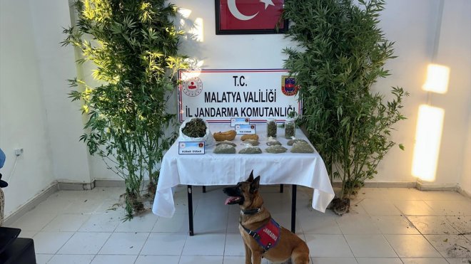 Malatya'da uyuşturucu operasyonunda 1 zanlı yakalandı