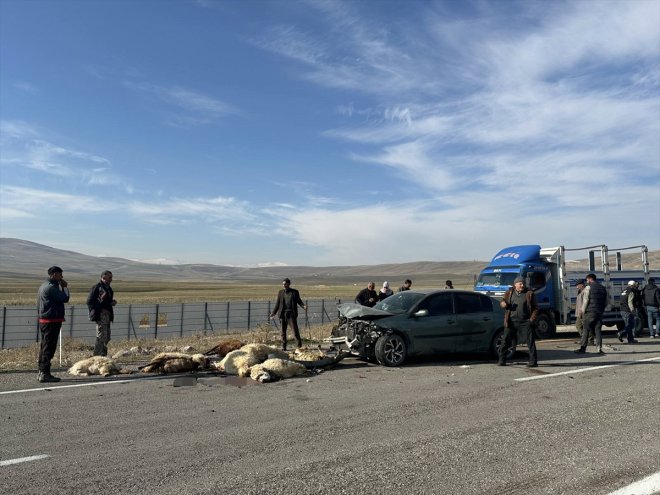 hayvan küçükbaş oldu Ağrı