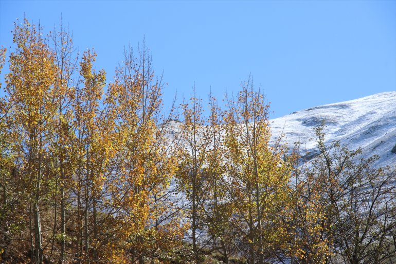 Ağrı dağlarının zirvesi beyaza, etekleri ise sonbahar renklerine büründü10