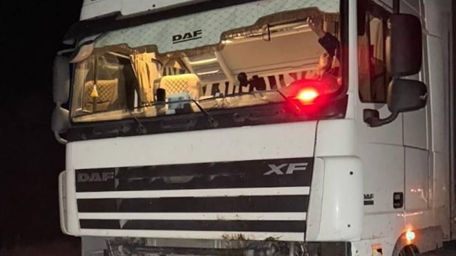 Ardahan'da tırın çarptığı küçükbaş hayvanlar telef oldu