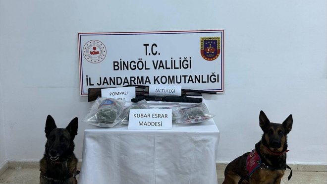 Bingöl'de 8 kilogram esrar ve 4 bin 915 kök Hint keneviri ele geçirildi