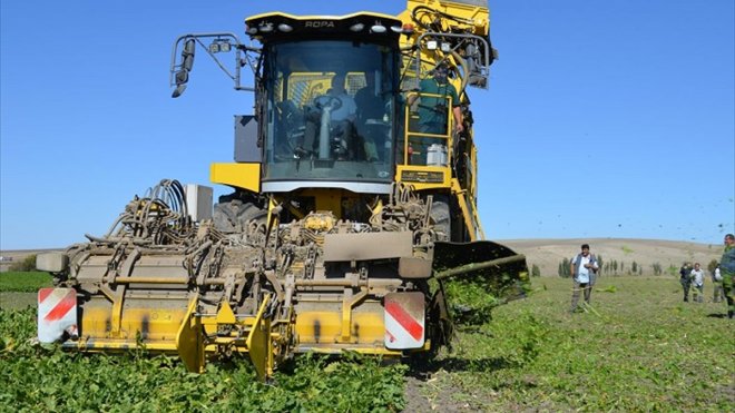 Bulanık Kaymakam Koşansu, Şeker Pancarı hasadı yapan çiftçileri ziyaret etti