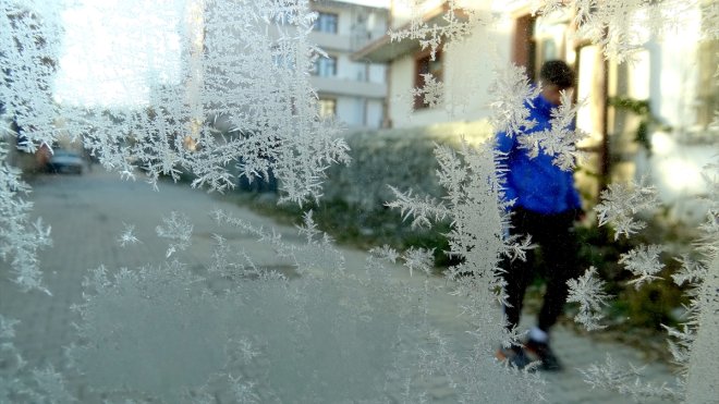 Kars ile Ardahan'da soğuk hava ve kırağı etkili oldu