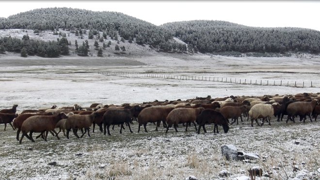Kars'ta şehir merkezine mevsimin ilk karı yağdı