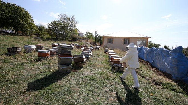 Köyünde 1 kovanla arıcılığa başladı, bu sene 1 ton bal hasadı yaptı