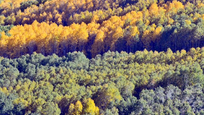 Sarıkamış, sonbahar renklerine büründü1