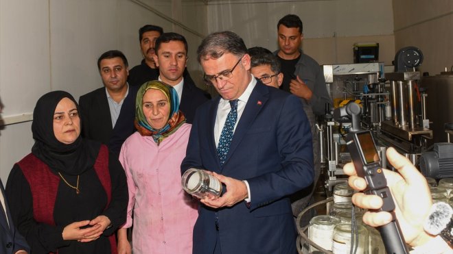 Van Valisi Balcı, Bahçesaray'da incelemlerde bulundu