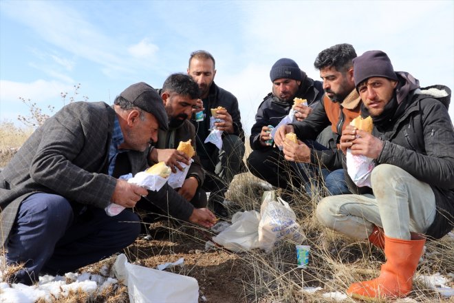 sürüleriyle Ağrı