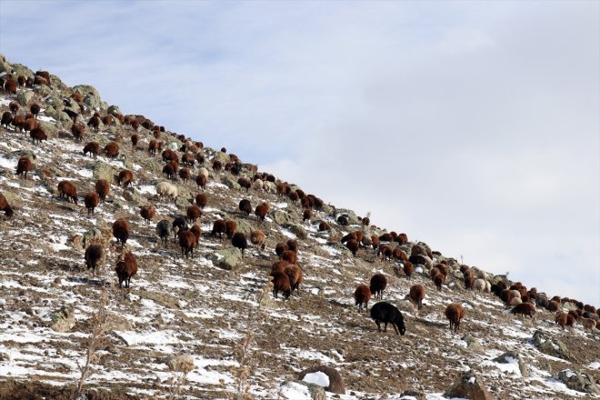 kar dönüşe Ağrı