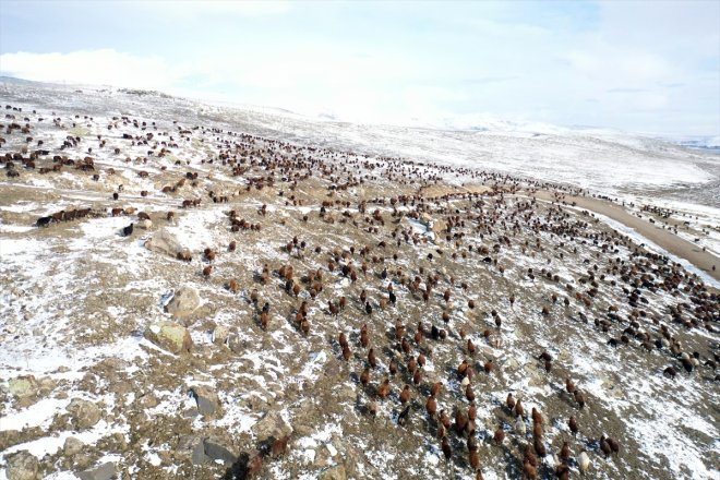 geçti sürpriziyle erken sürüleriyle çobanlar kar Ağrı