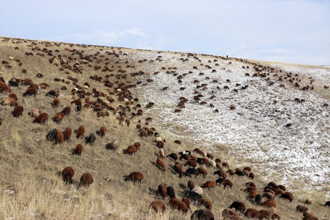 yaylada dönüşe kar geçti Ağrı