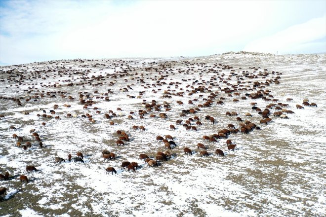 dönüşe sürpriziyle karşılaşan Ağrı