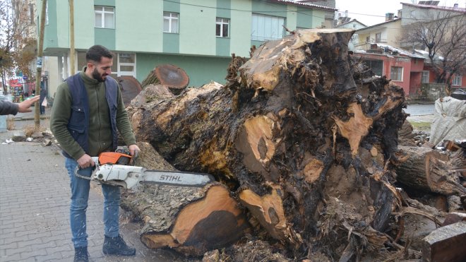 Bitlisli kardeşler, ceviz ağacını sanat eserine dönüştürüyor1