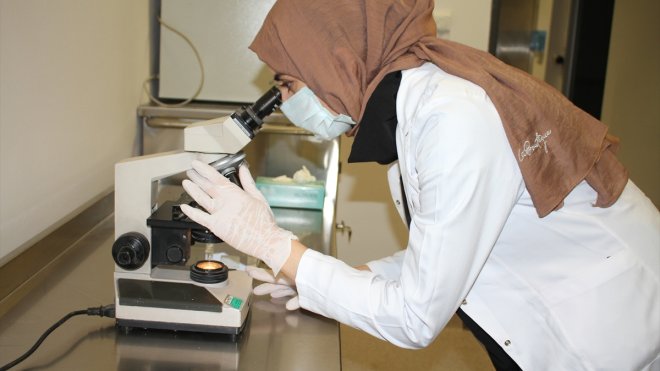 Van Eğitim Araştırma Hastanesi Tüp Bebek Merkezi çocuk hayali kuranların hizmetinde