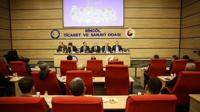 Bakan Işıkhan, Bingöl