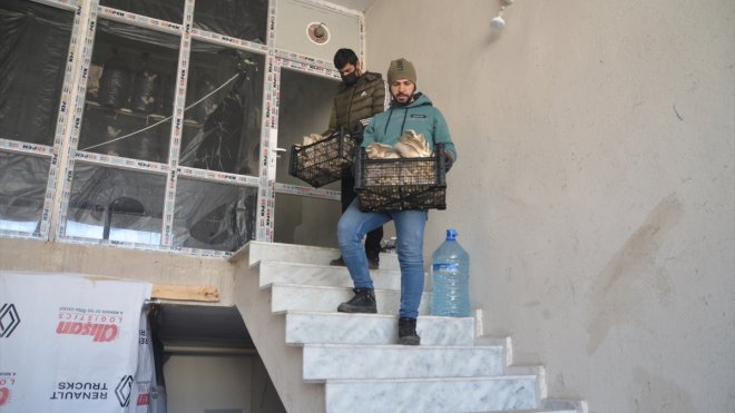 Hakkarili genç girişimci yılda 2 ton mantar üretiyor