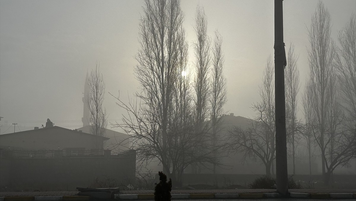 Iğdır'da yoğun sis etkili oluyor