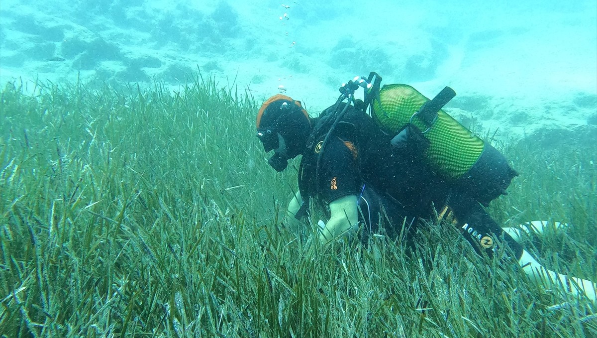 Mavi Nefes projesiyle deniz ekosisteminin korunması çalışmaları sürüyor