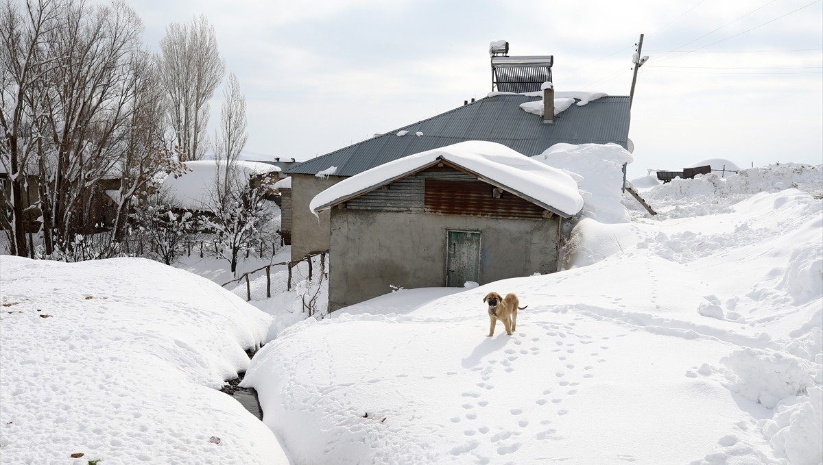 Muş'ta yüksek kesimdeki köyler karla kaplandı
