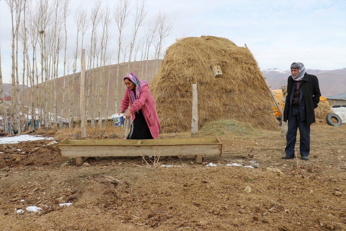 Ortopedik engelli kadın, İŞKUR