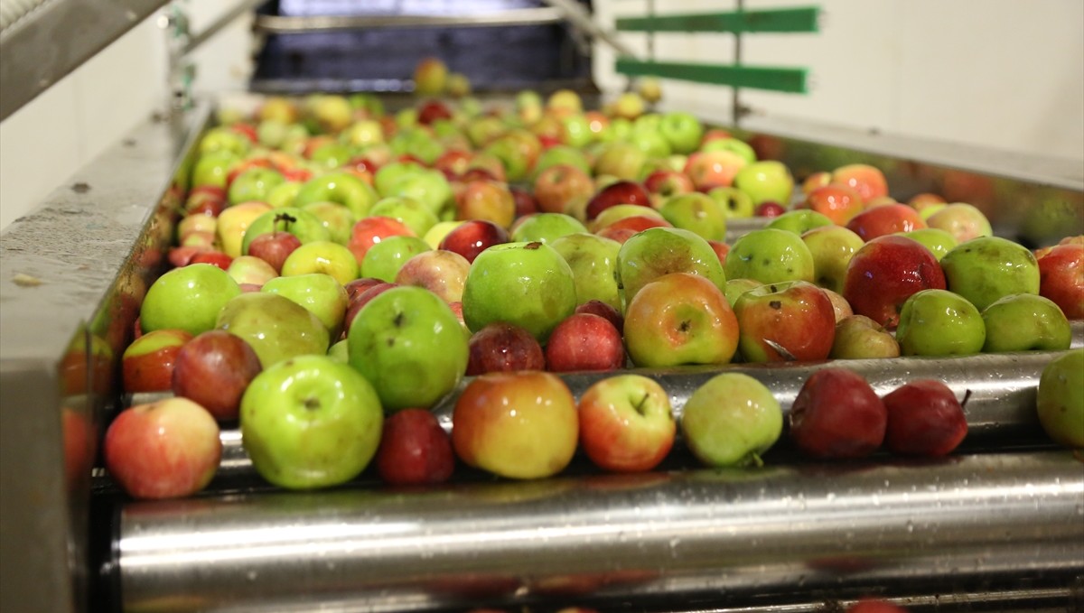 Torku, tünel pastörizasyon teknolojisiyle öne çıkıyor