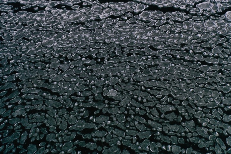 şekillerde Balık oluştu buz Ağrı