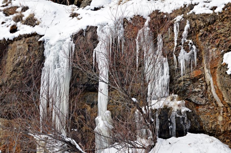 Erzurum, Ardahan, Iğdır ve Ağrı