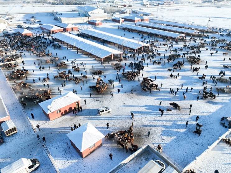 rağmen dondurucu Hayvan hareketli Ağrı soğuklarına Kışın Borsası 18