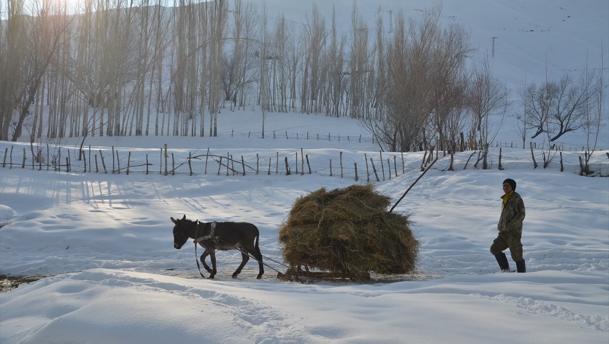 Muş ve Hakkari
