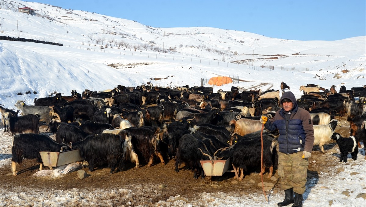 Muş'ta besicilerin kış mesaisi sürüyor