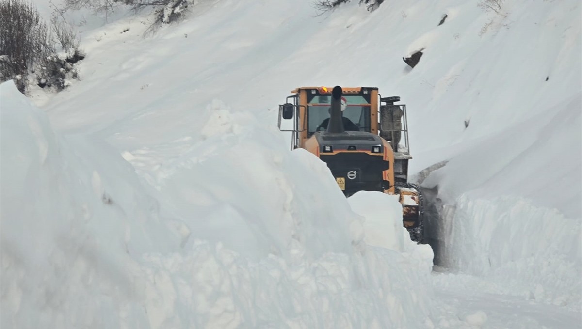 Muş ve Hakkari'de kapanan 5 yerleşim yerinin yolu ulaşıma açıldı