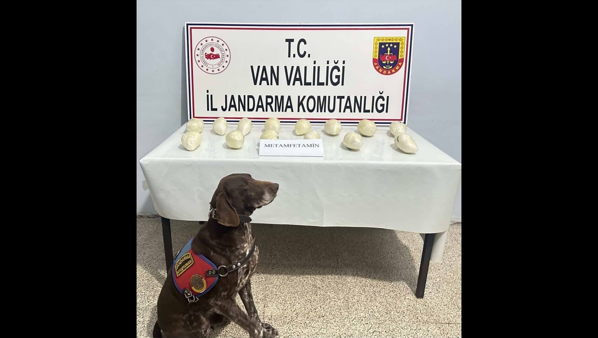 Van'da geçen ay 243 kilo 624 gram uyuşturucu ele geçirildi
