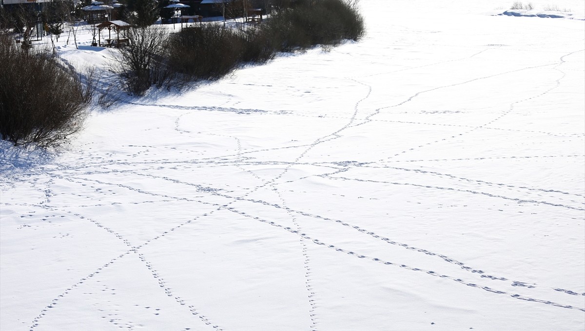 Kars ve Ardahan'da soğuk hava etkisini sürdürüyor