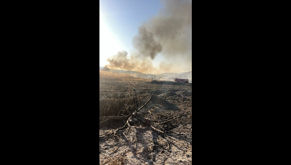 Malatya'da sazlık alanda çıkan yangın söndürüldü
