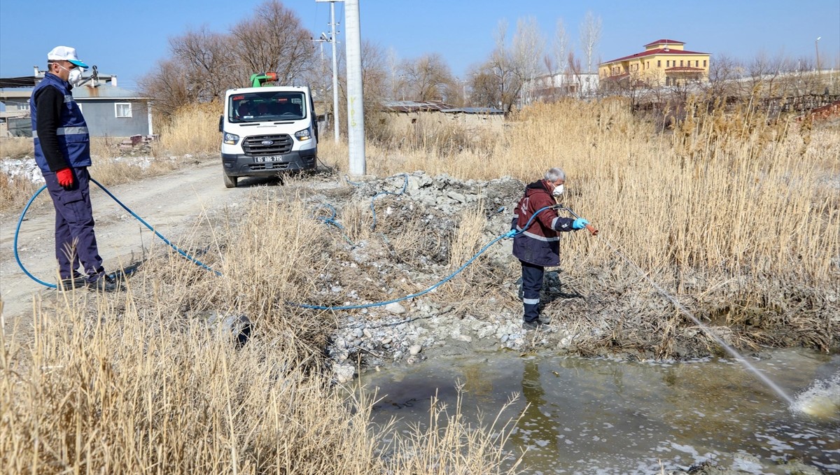Van'da vektörle mücadele çalışmaları başladı