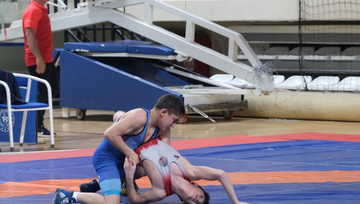 15 Yaş Altı Türkiye Güreş Grup Müsabakaları, Erzincan