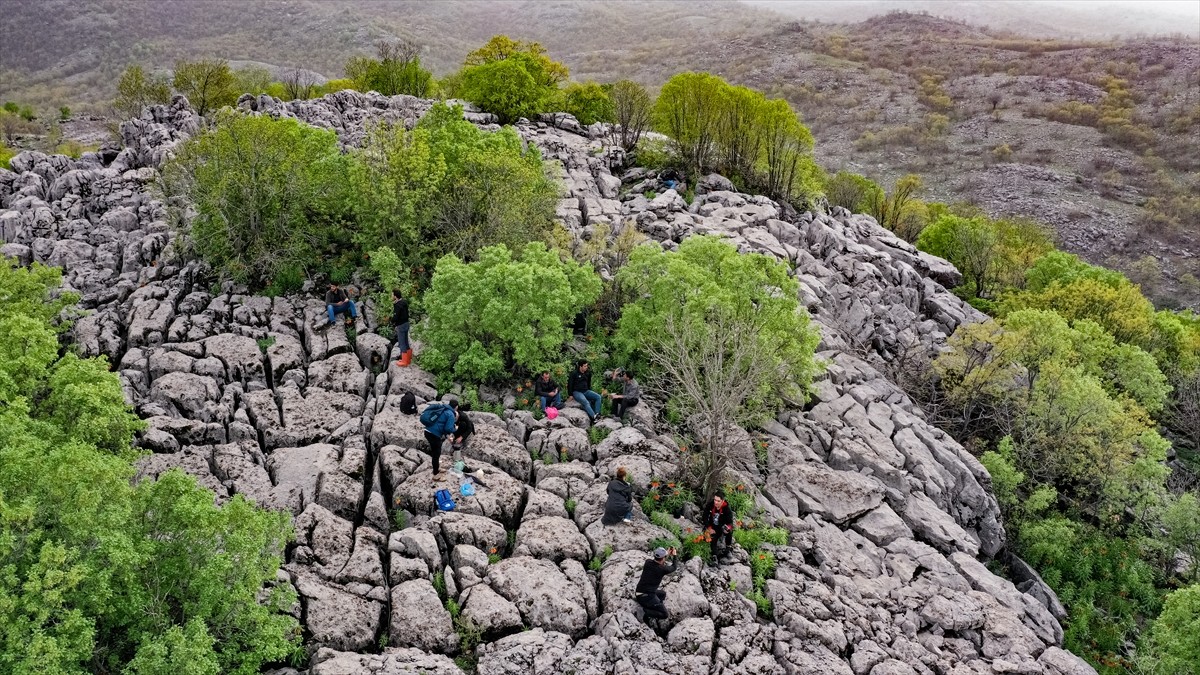 "Ağlayan gelinler"i fotoğraflamak için 1613 rakımlı dağa tırmanıyorlar