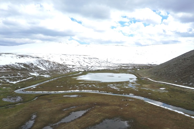 bahar, dağlarında ovalarında Ağrı