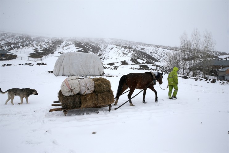 ağıllara döndü bürününce beyaza koyun kuzular ve Meralar yeniden 2