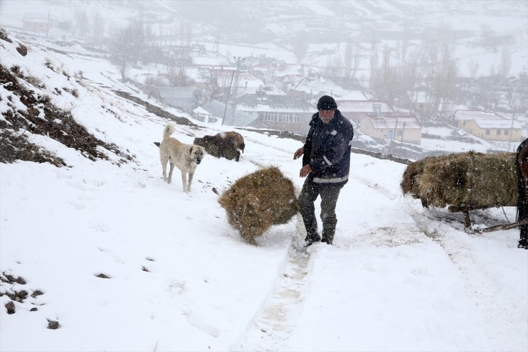 ağıllara beyaza yeniden bürününce koyun kuzular döndü ve Meralar 3