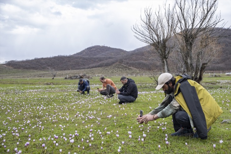 bahar doğa tutkunlarını ve renkleri Munzur