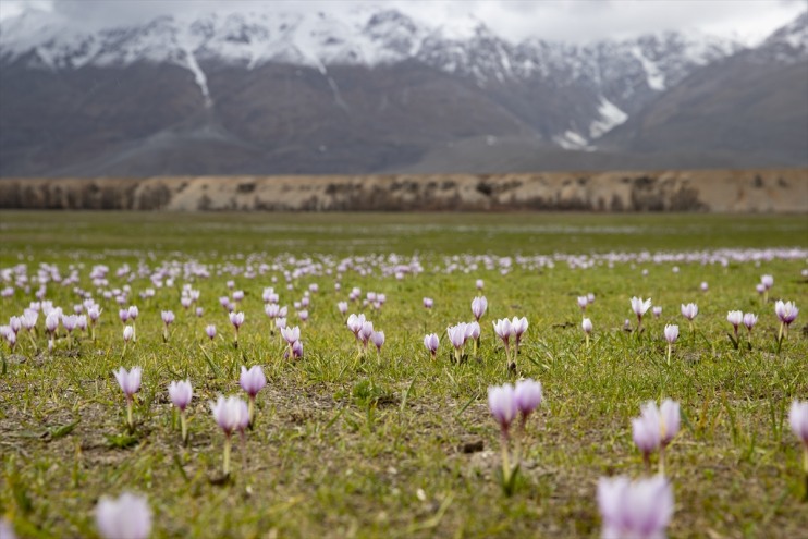 renkleri tutkunlarını fotoğraf doğa Munzur