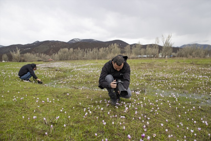 bahar doğa tutkunlarını cezbediyor fotoğraf renkleri ve Munzur