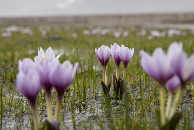 ve fotoğraf renkleri doğa cezbediyor tutkunlarını Munzur