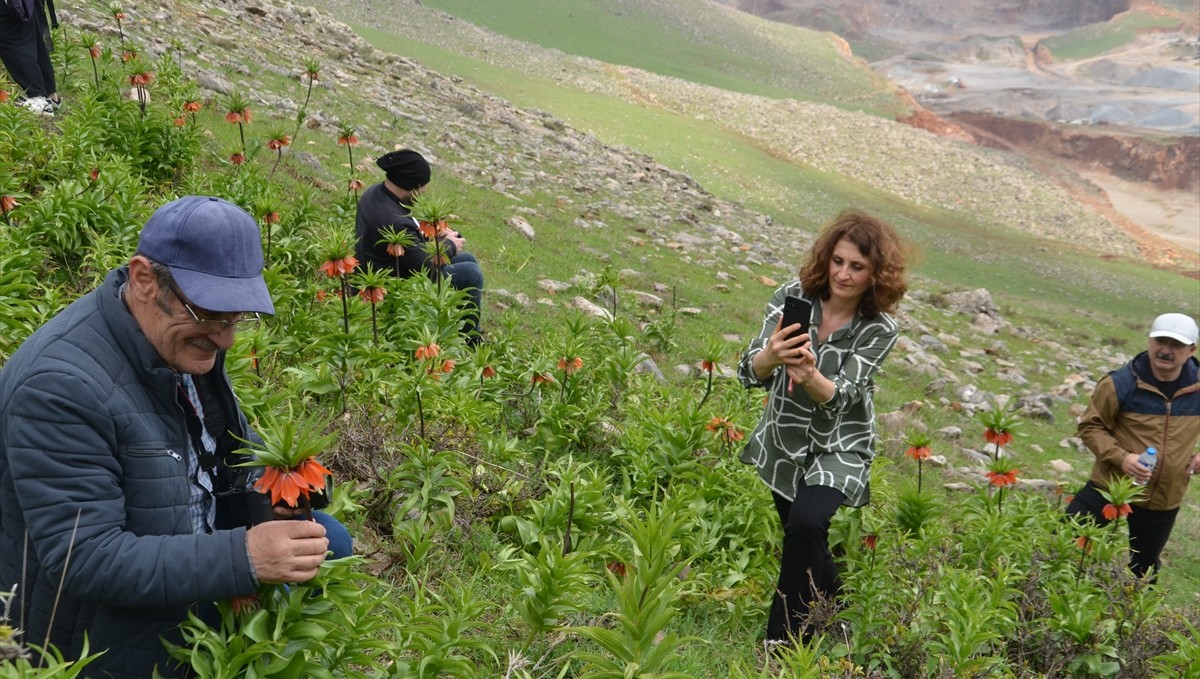 Trabzon'dan Muş'a gelen fotoğraf tutkunları ters laleleri görüntüledi